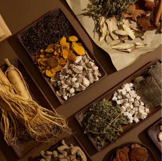 herbal medicine